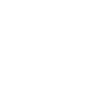 SEBRAE